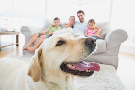 Important Reasons to Get an Air Purifier for Your South Florida Home